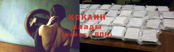дживик Сосновоборск
