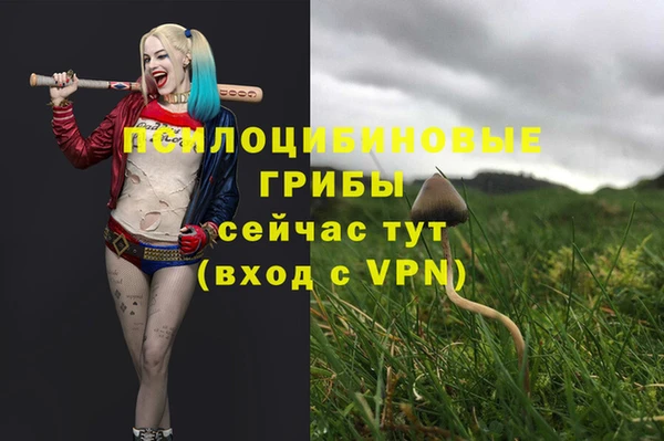 каннабис Надым