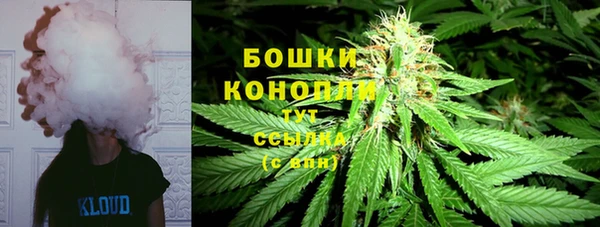 стафф Ростов