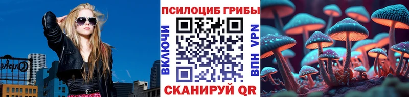 Галлюциногенные грибы Psilocybe  Нефтекамск 