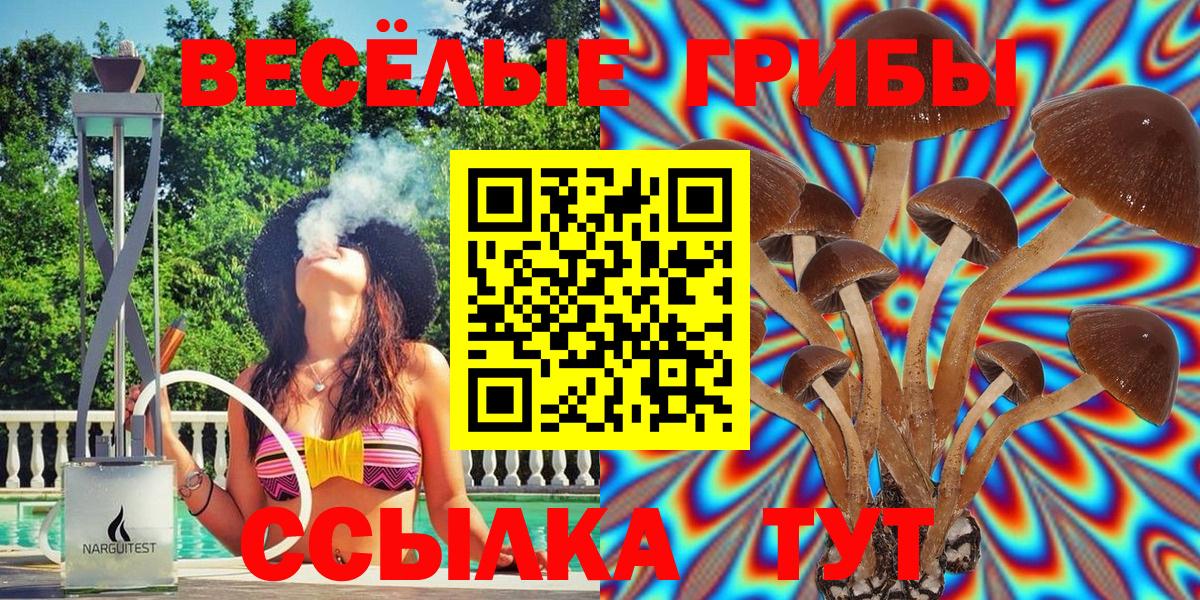 Псилоцибиновые грибы Magic Shrooms  Псилоцибиновые грибы мухоморы  где продают   Нефтекамск 