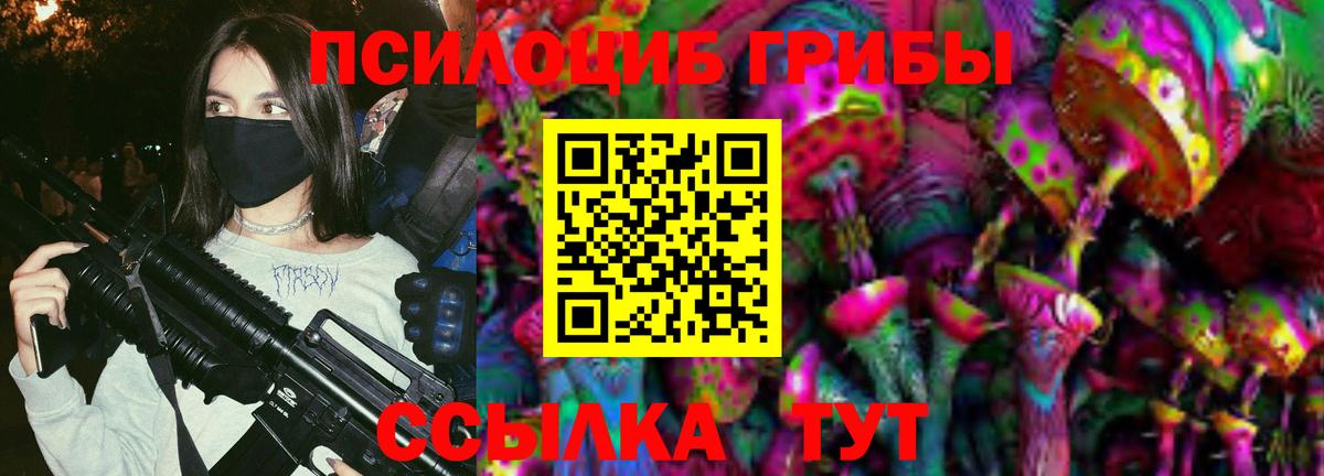 Псилоцибиновые грибы мицелий Нефтекамск